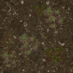 AET000_069_a_l.jpg
