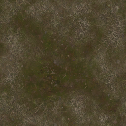 AET000_107_a_l.png
