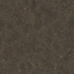 AET000_119_a_l.jpg