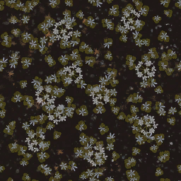 AET000_129_a_l.png