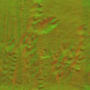 AET000_533_n_l.jpg