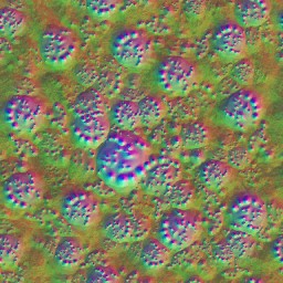 AET000_544_n_l.jpg