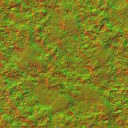 AET000_603_n_l.jpg