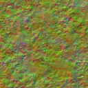 AET001_538_n_l.jpg