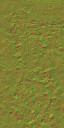 AET001_562_n_l.jpg