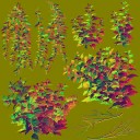 AET002_007_n_l.jpg