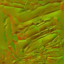 AET002_076_n_l.jpg