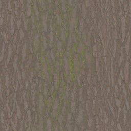 AET002_090_a_l.jpg