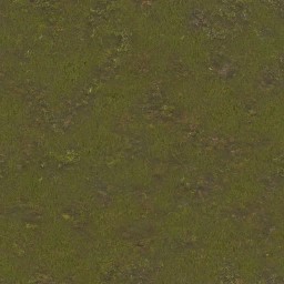 AET002_092_a_l.jpg