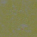 AET002_534_n_l.jpg
