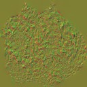 AET002_549_n_l.jpg