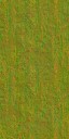 AET002_556_n_l.jpg