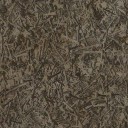 AET003_221_a_l.jpg