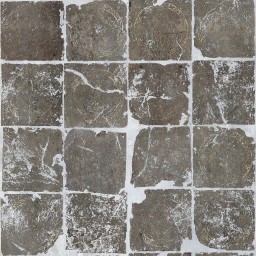 AET003_246_a_l.jpg
