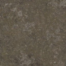 AET003_295_a_l.jpg