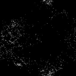 AET003_516_a_l.jpg