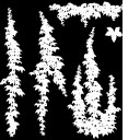 AET003_519_m_l.jpg