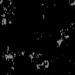 AET003_549_a_l.jpg