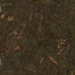 AET003_651_a_l.jpg