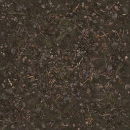 AET003_692_a_l.jpg