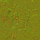 AET003_755_n_l.jpg