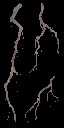 AET003_799_a_l.jpg