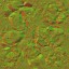 AET003_904_n_l.jpg