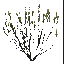 AET005_008_a_l.png