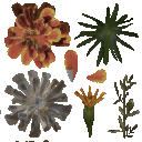 AET005_011_a_l.png
