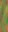 AET005_024_n_l.jpg