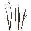 AET005_026_a_l.png