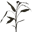 AET005_027_a_l.png