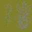 AET005_028_n_l.jpg