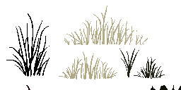 AET005_085_a_l.png