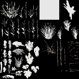 AET005_086_a_l.jpg