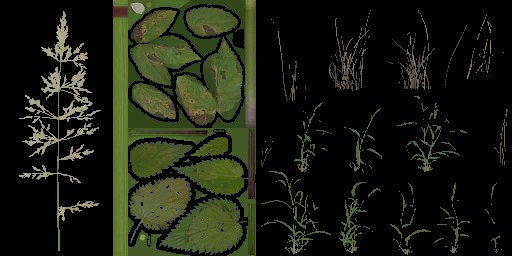 AET005_087_a_l.jpg