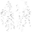 AET005_113_m_l.jpg
