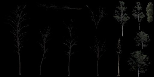 AET005_201_a_l.jpg