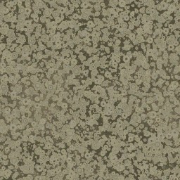 AET005_506_a_l.jpg