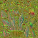 AET007_041_n_l.jpg
