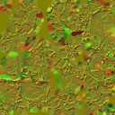 AET007_054_n_l.jpg