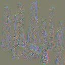 AET007_067_n_l.jpg