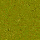 AET007_088_n_l.jpg