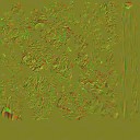AET007_203_n_l.jpg