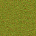 AET007_208_n_l.jpg