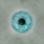 AET007_247_a_l.jpg