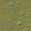 AET007_315_n_l.jpg