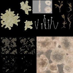 AET007_321_a_l.jpg
