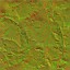 AET007_328_n_l.jpg