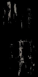 AET007_417_a_l.jpg